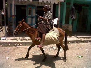 13129584-1127-451c-a28d-424b88bdcd65